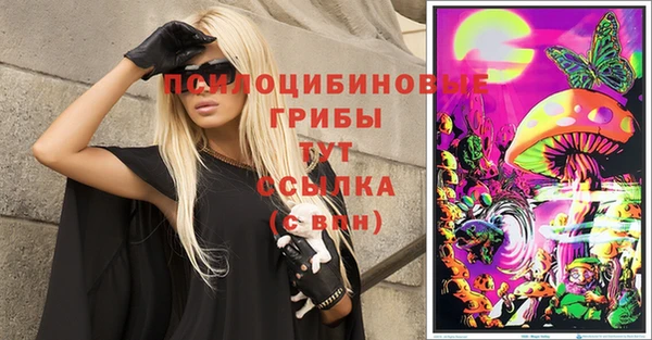 шишки Верхнеуральск