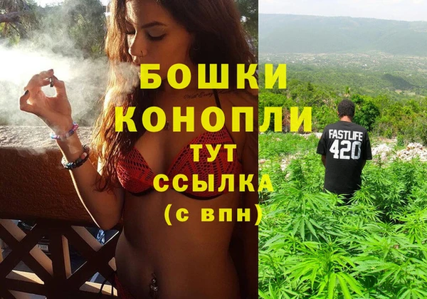 крисы Верея