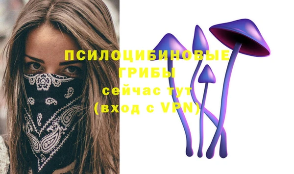 не бодяженный Верхний Тагил