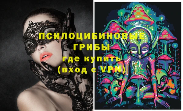 крисы Верея