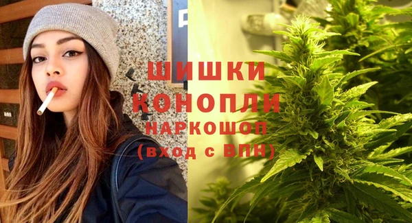 крисы Верея