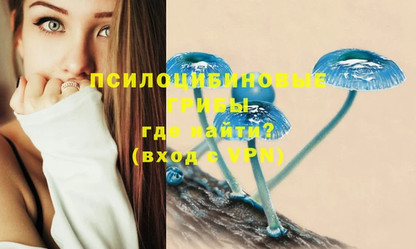 не бодяженный Верхний Тагил