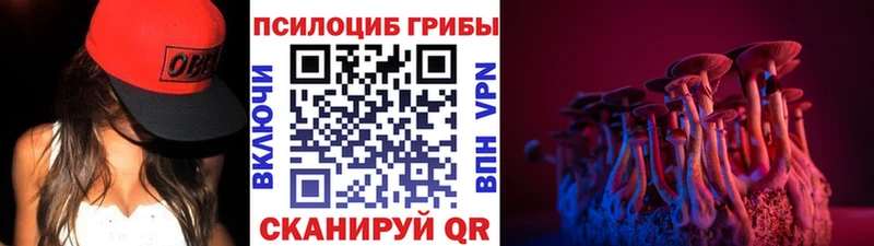 Купить где  Новосокольники  Галлюциногенные грибы Cubensis 